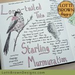 Long-tailed tits and starling murmuration nature journal page for February