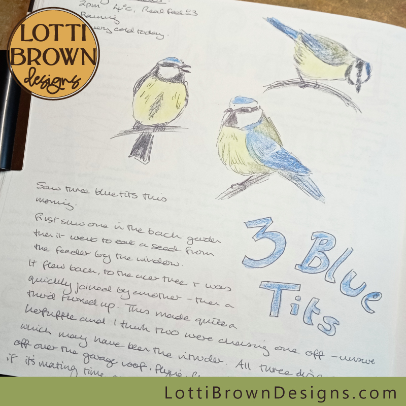 three bluetits nature journal page