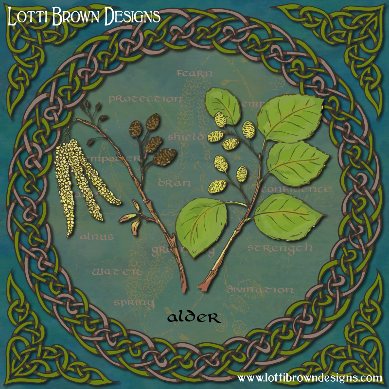 Celtic Alder art by Lotti Brown