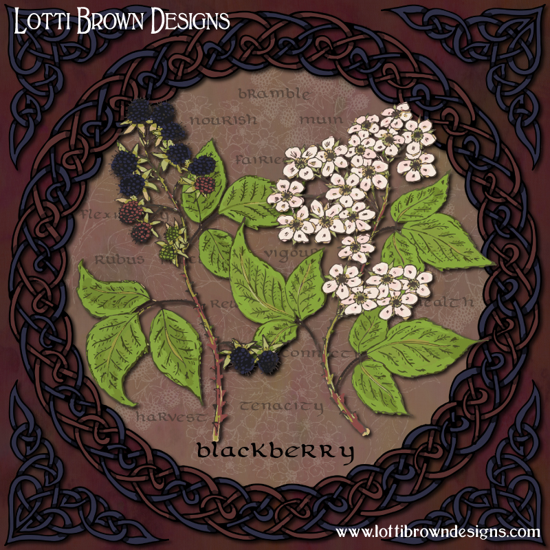 Celtic Blackberry art by Lotti Brown