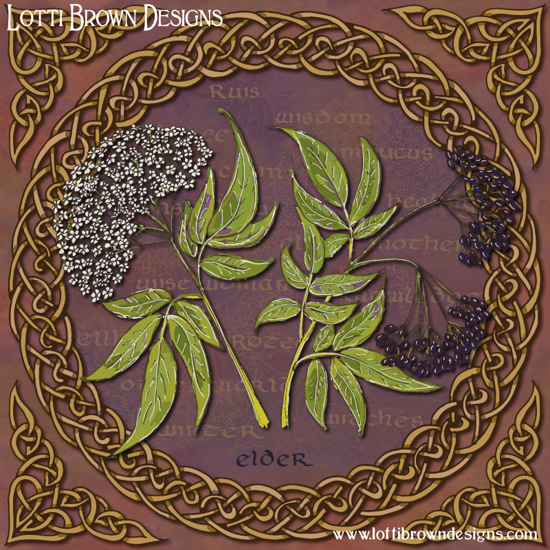 Celtic Elder tree art by Lotti Brown