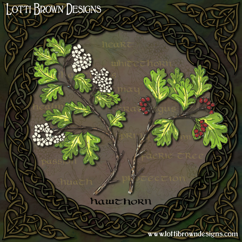 Celtic Hawthorn art by Lotti Brown