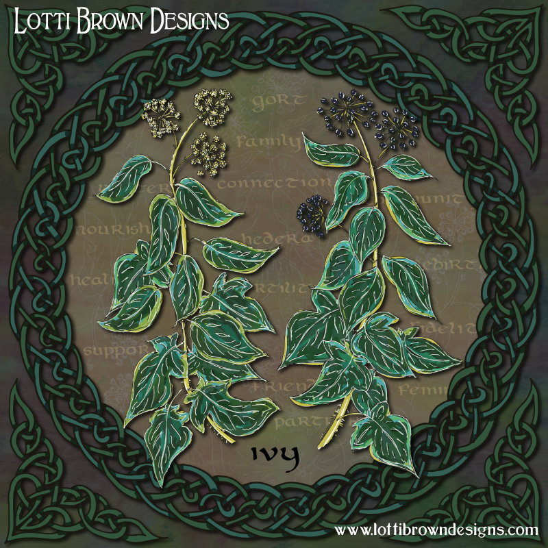 Celtic Ivy art by Lotti Brown