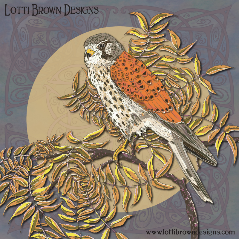 Celtic Kestrel art by Lotti Brown