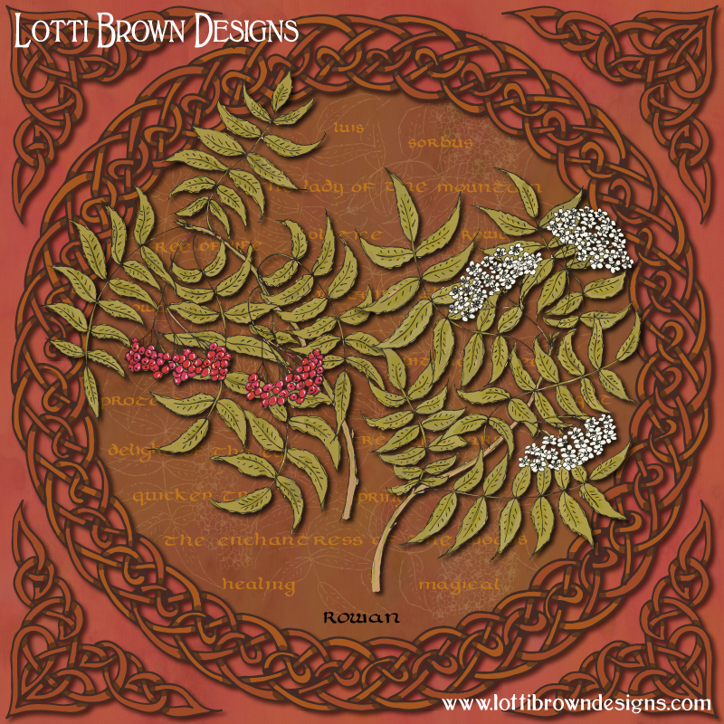 Celtic Rowan art by Lotti Brown