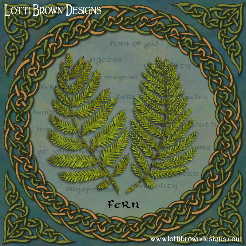 Celtic Ferns art by Lotti Brown