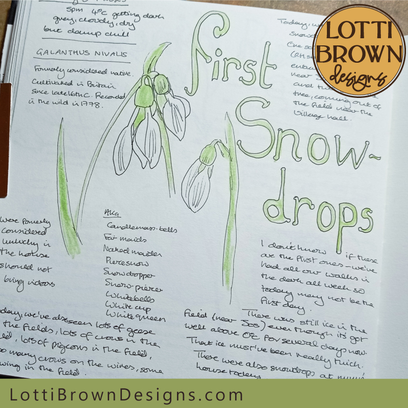 First snowdrops nature journal page