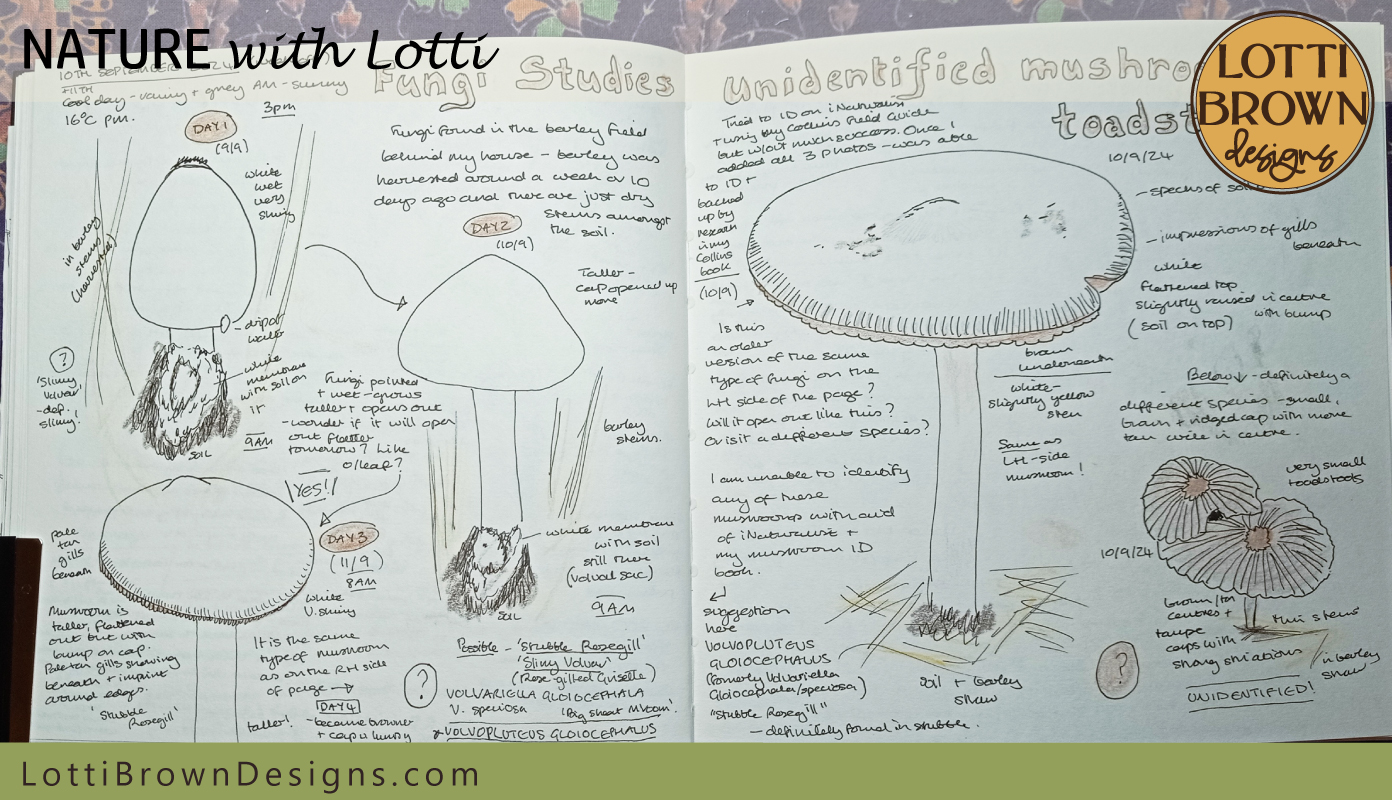 Fungi journal pages