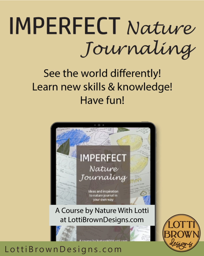 Imperfect nature journaling short online course