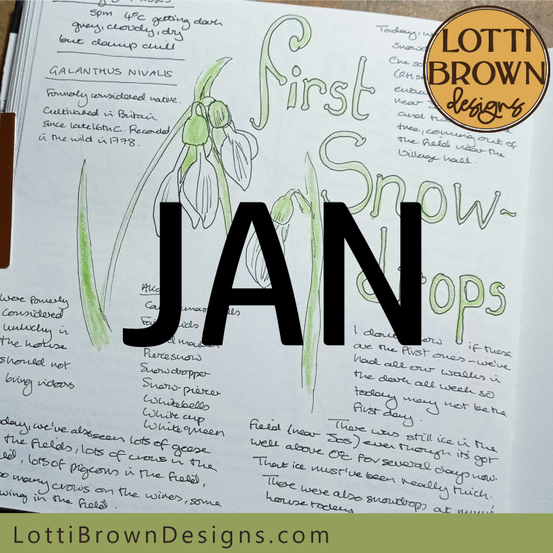 January nature journal