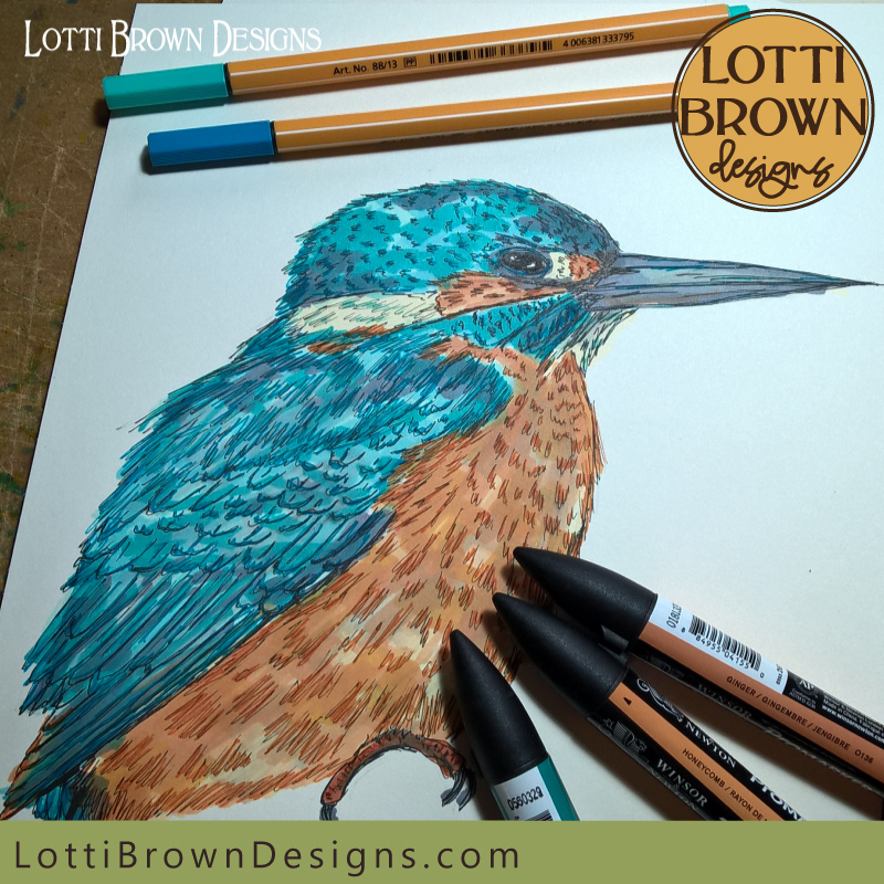 kingfisher drawing