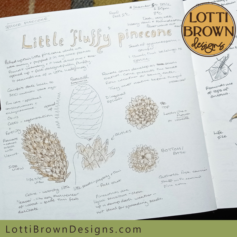 Little fluffy pinecone nature journal page