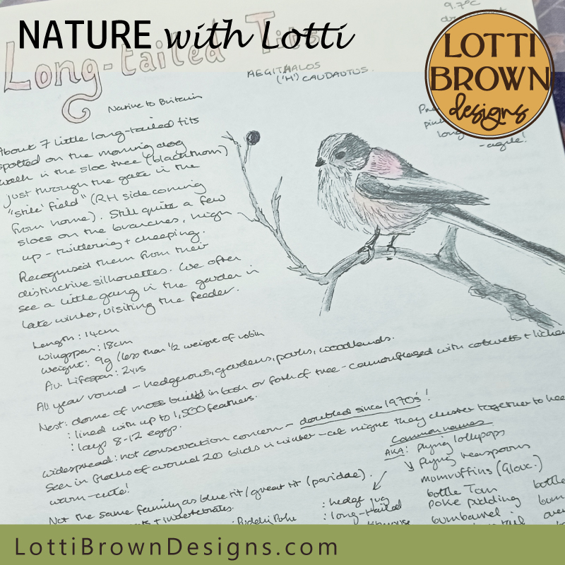 Long-tailed Tits nature journal page