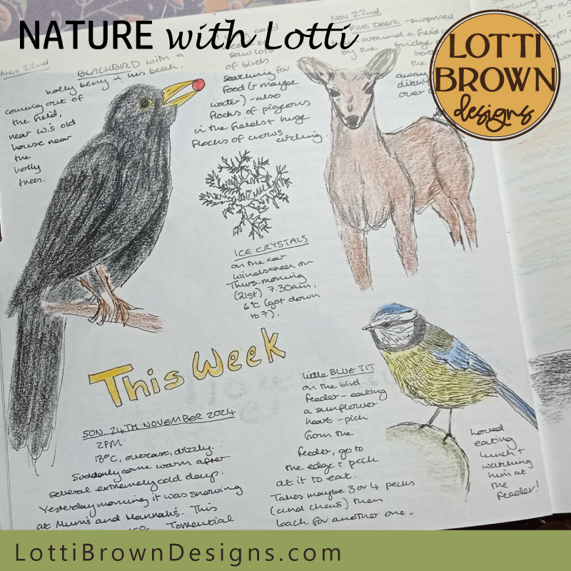 November weekly nature journal page