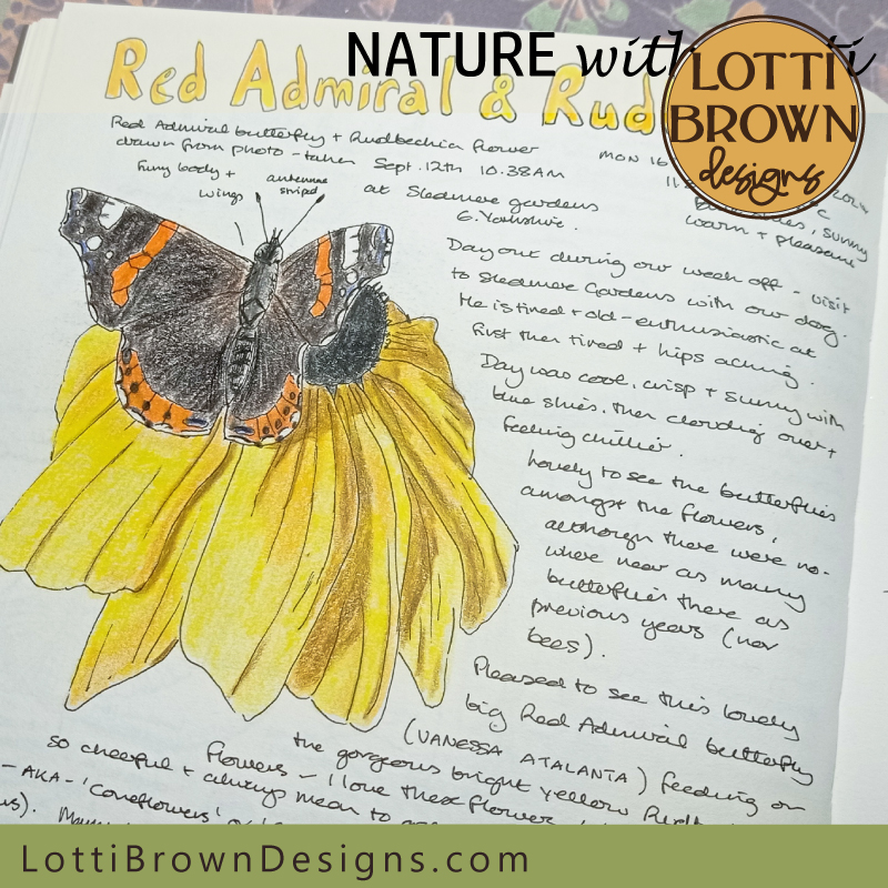 Red admiral and rudbeckia journal page