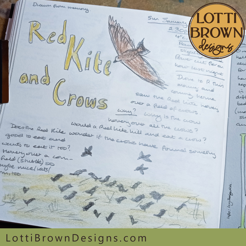 Red Kite and Crows nature journal page