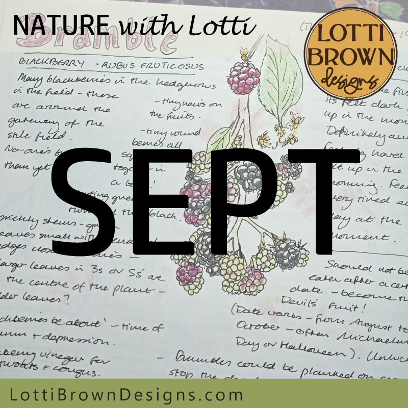 September nature journal pages