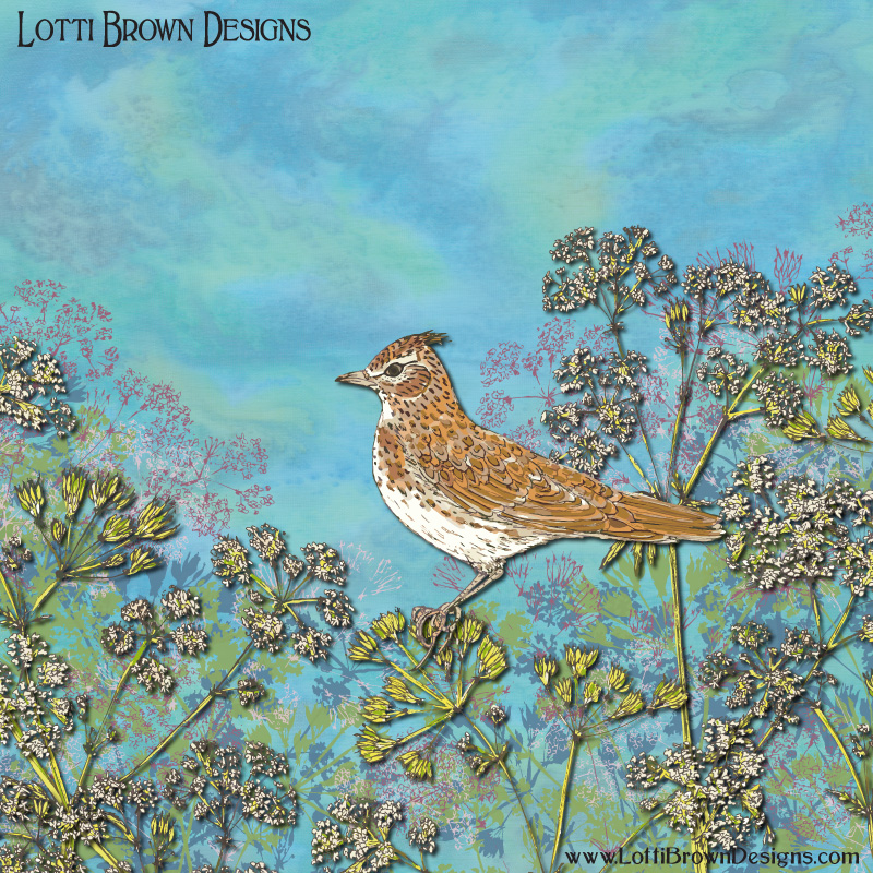 Skylark art by Lotti Brown