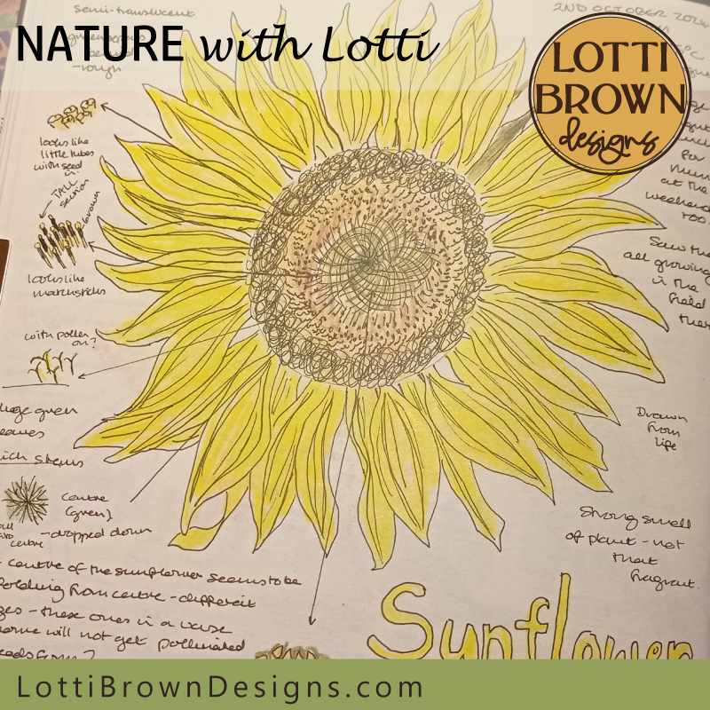 sunflower nature journal page