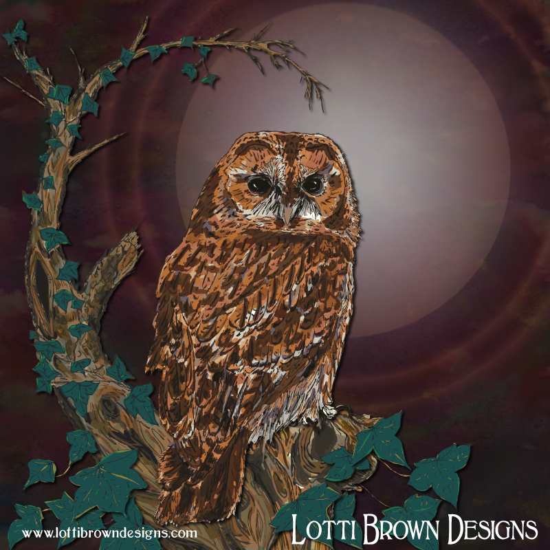 Tawny owl art by Lotti Brown