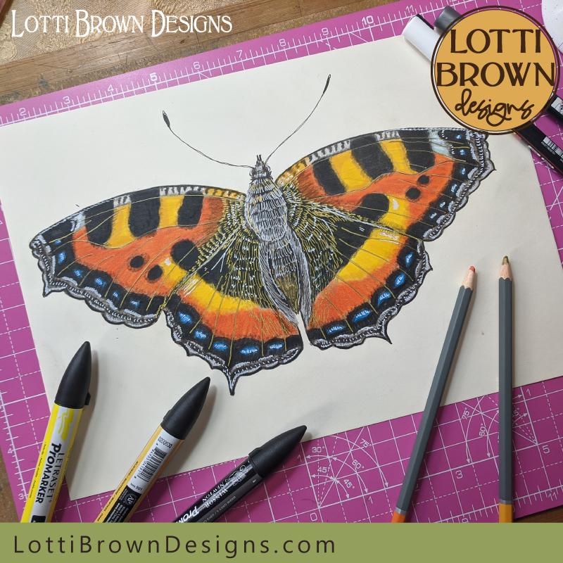 tortoiseshell butterfly drawing