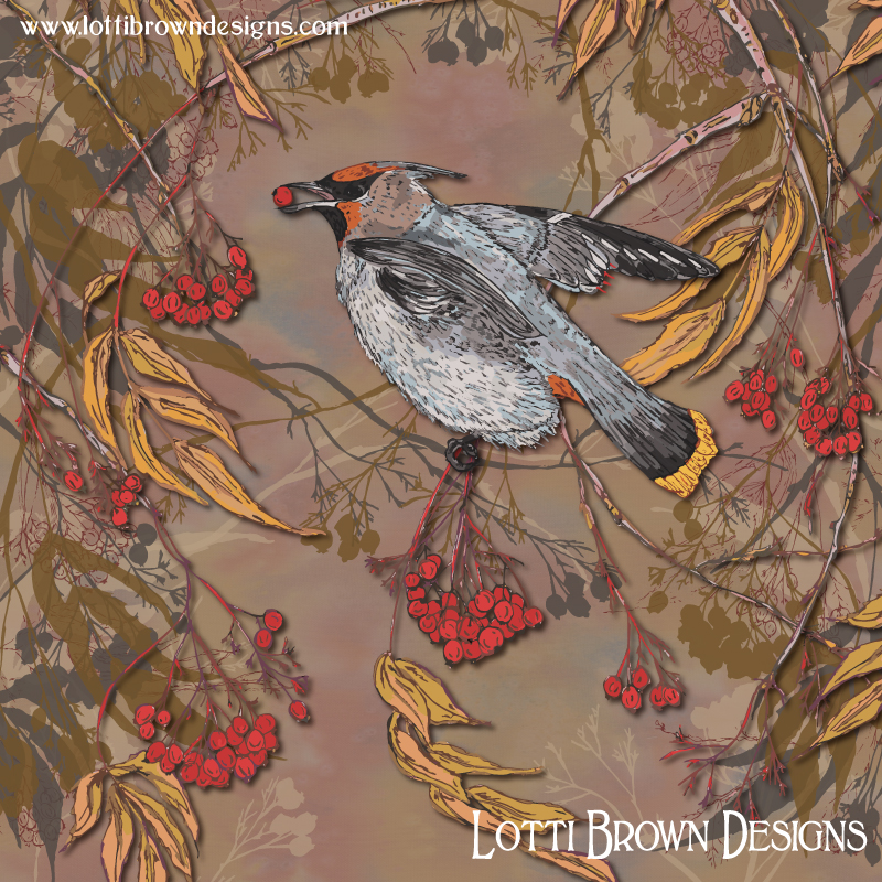 Waxwing art by Lotti Brown