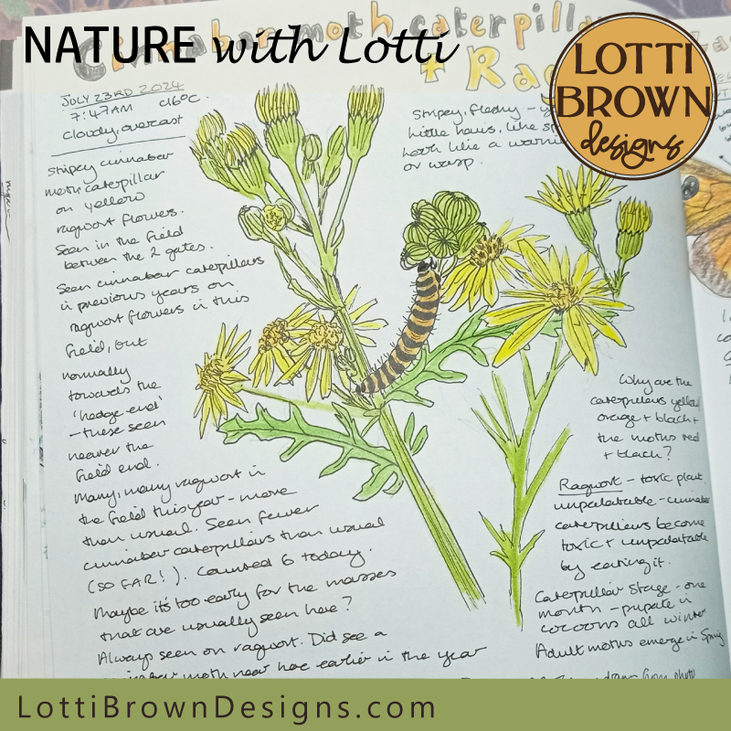 Nature journaling with Lotti