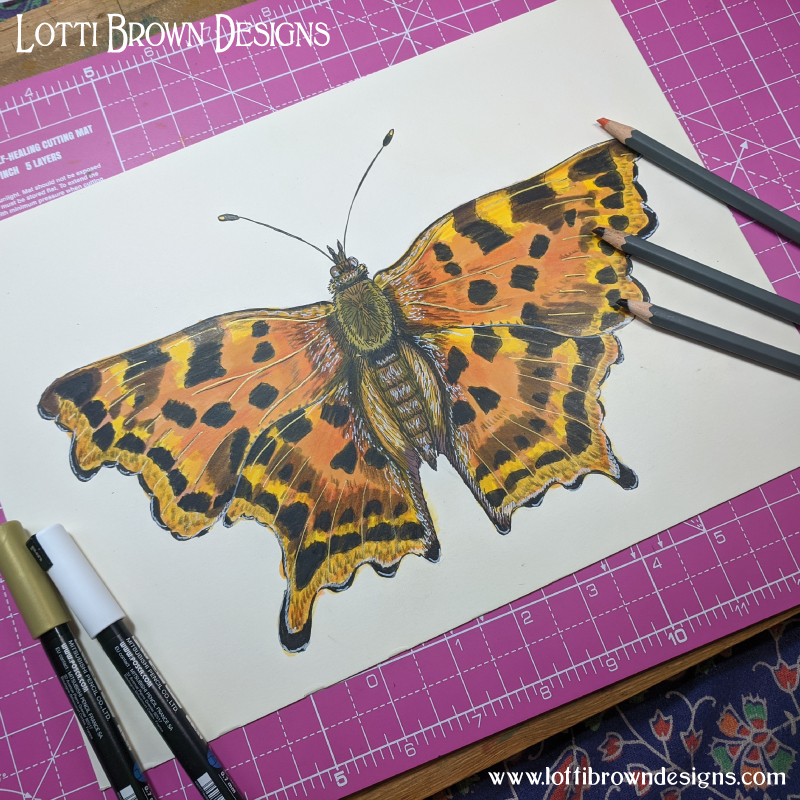 comma butterfly pencil drawing