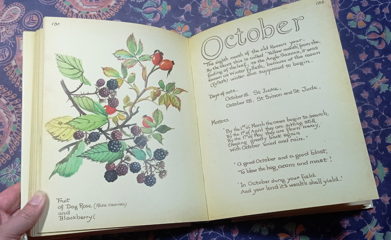 Country Diary autumn pages