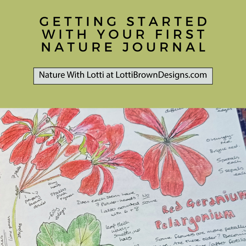 Getting Started with Your First Nature Journal guide