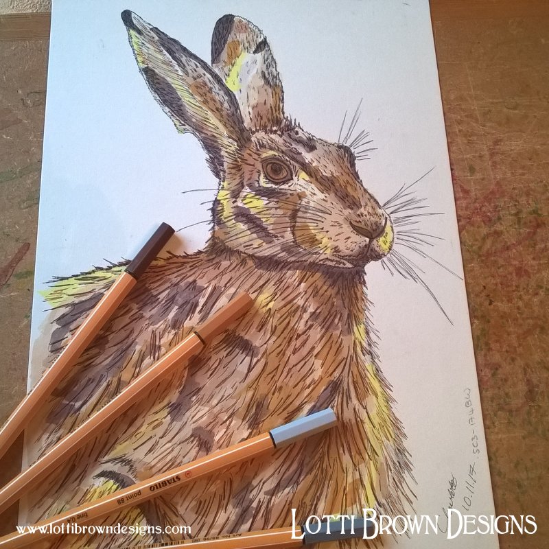 Hare drawing