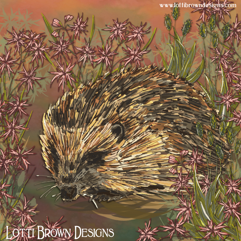 Hedgehog artwork by Lotti Brown