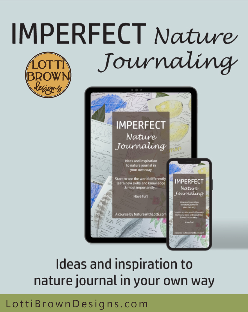 Imperfect nature journaling course online