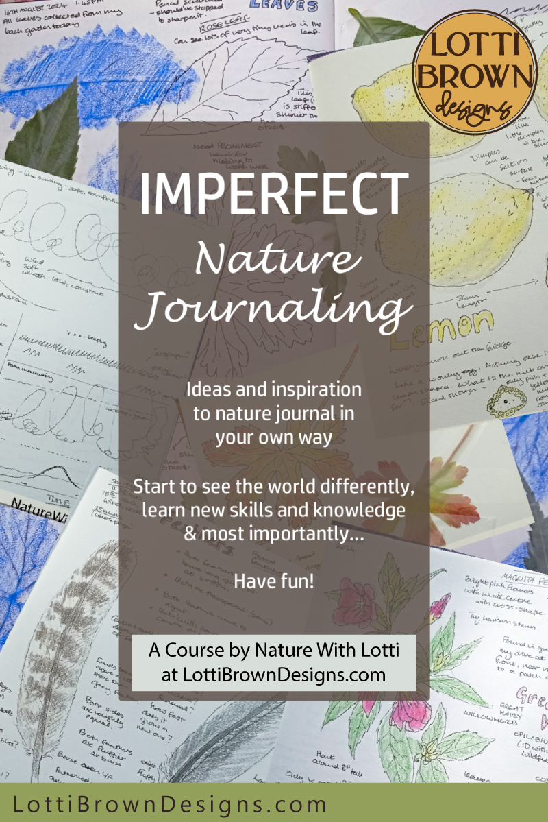 Imperfect Nature Journaling course