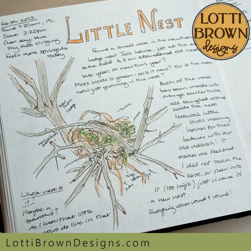 Little nest nature journal page