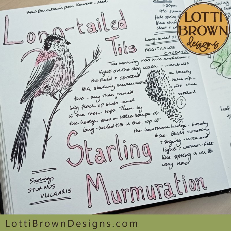 Long-tailed tits and starling murmuration nature journal page for February