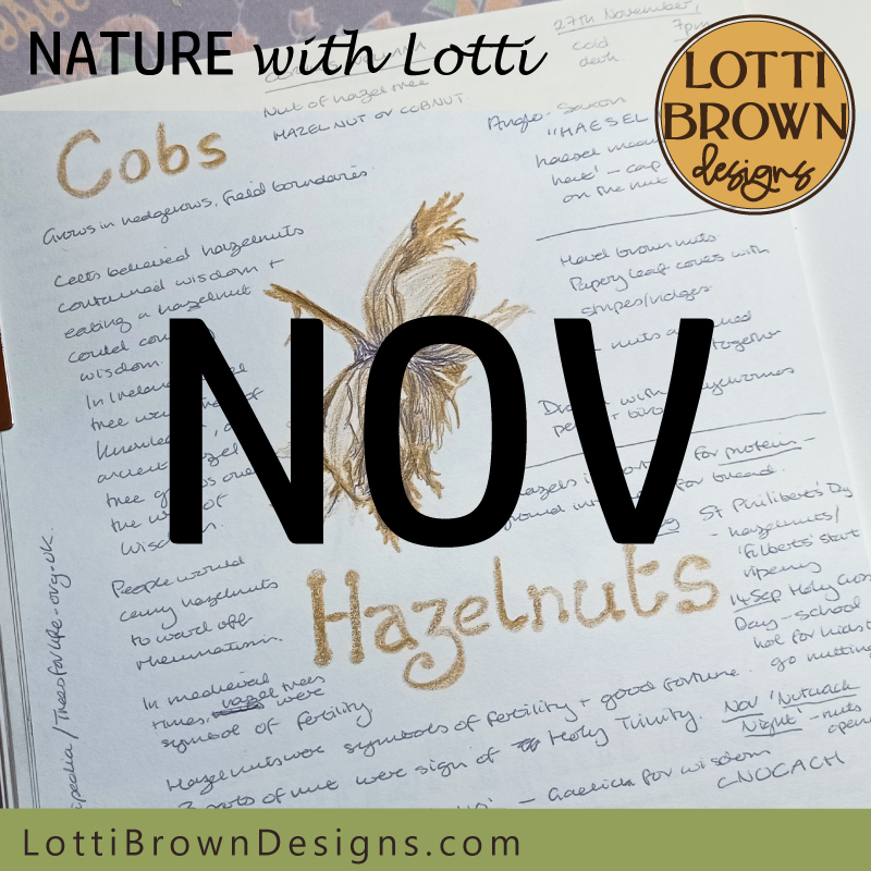 November nature journaling