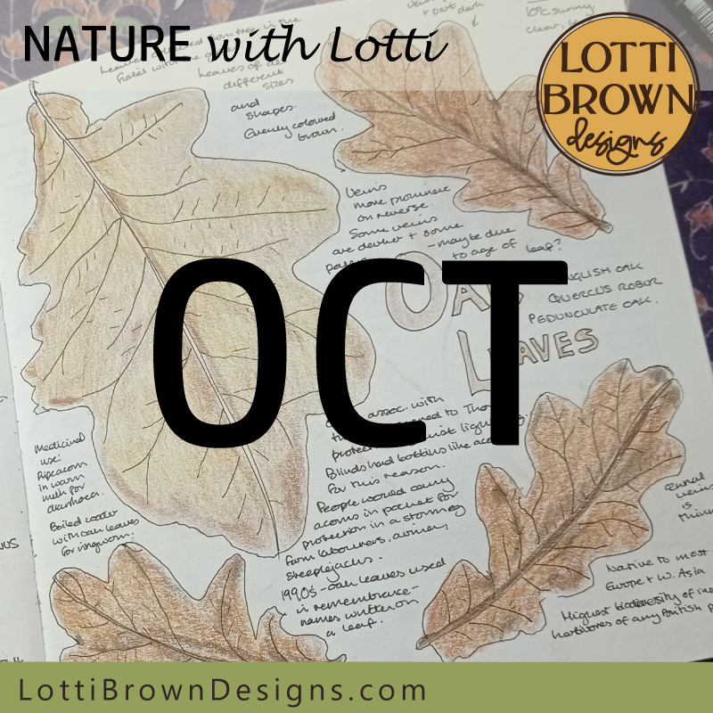 October nature journal pages