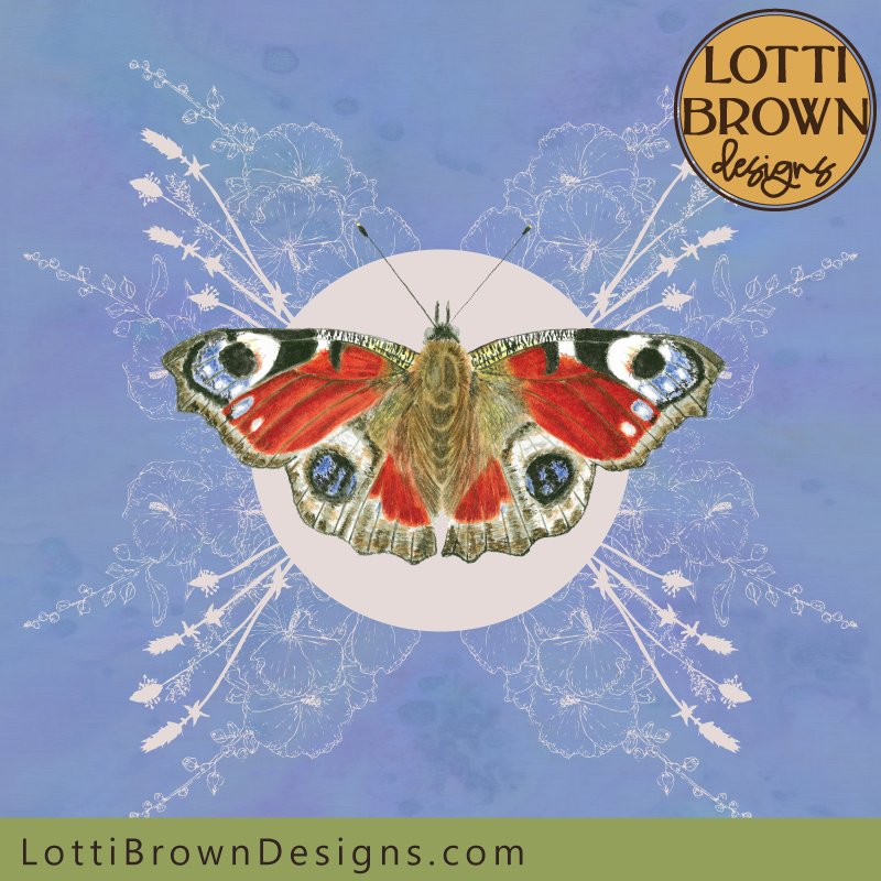 Peacock Butterfly art by Lotti Brown