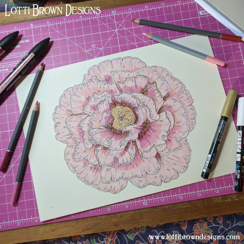 Hand-drawn peony flower art