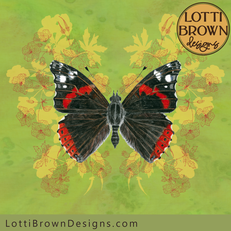 Red Admiral art print