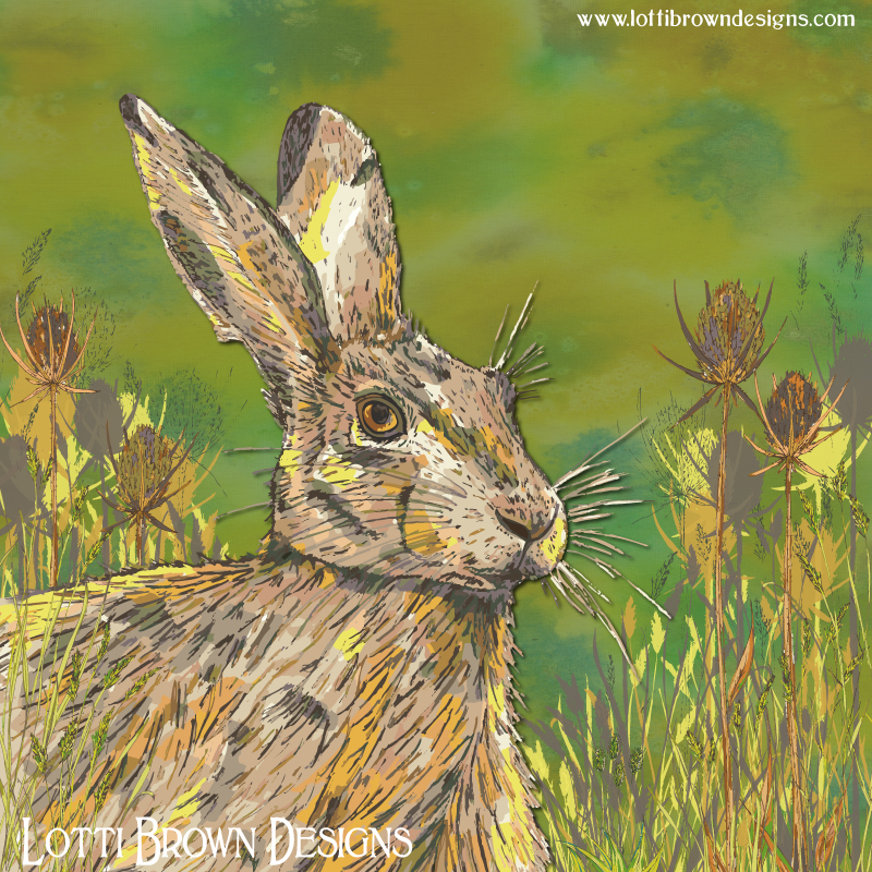 Summer Hare artwork by Lotti Brown