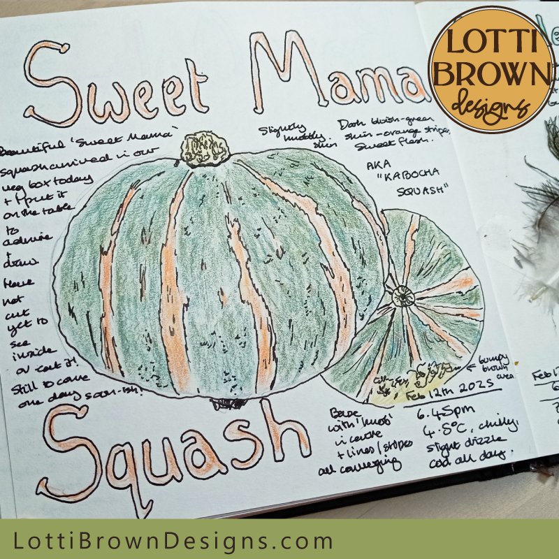 Sweet Mama Squash in my nature journal